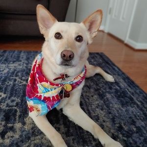 Meet your Posher, Bethany